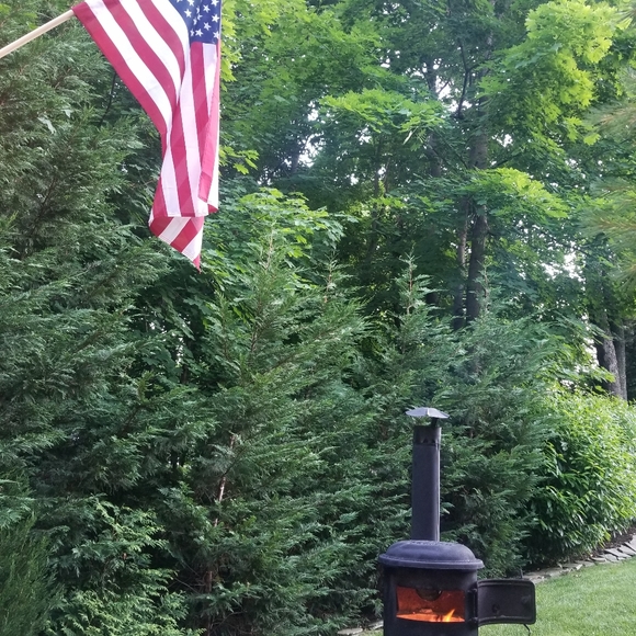 Vanessa - Picture 8 of 8